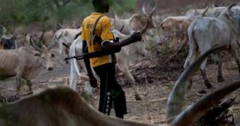 Fulani Herdsmen Stab Ondo Farmer Into Coma Despite Vacation Order