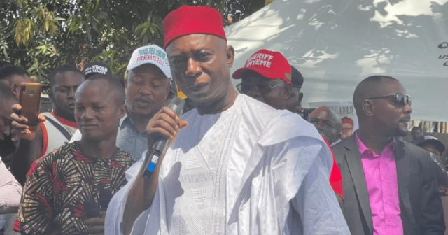 Ned Nwoko Wins Delta North Senatorial Seat