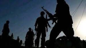 Forest Guard Arrested Over Alleged Killing of Son in Borno