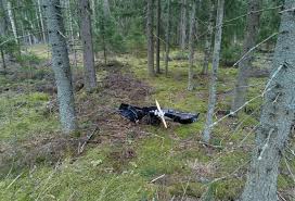 Ukraine apologises following drone crash incident in Finland