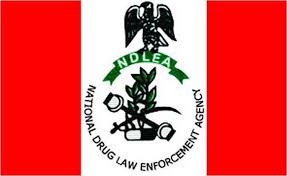 Edo: NDLEA rearrests suspect declared dead by wife in court affidavit