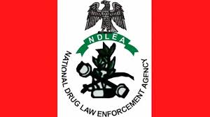 NDLEA dismantles syndicates recruiting women into illicit drug trade