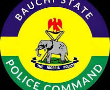 Police Arrest 70-Year-Old Man for Allegedly Def!ling 8-Year-Old Girl