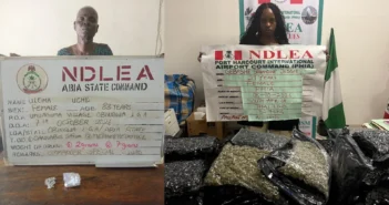 83-year-old convicted grandma, South African lady arrested with Colos, Meth shipments