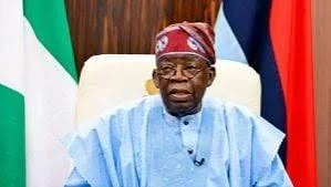 US firm files $57m lawsuit against Tinubu, Fani-Kayode, others